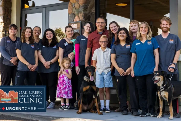 Oak Creek Small Animal Clinic - Case Study