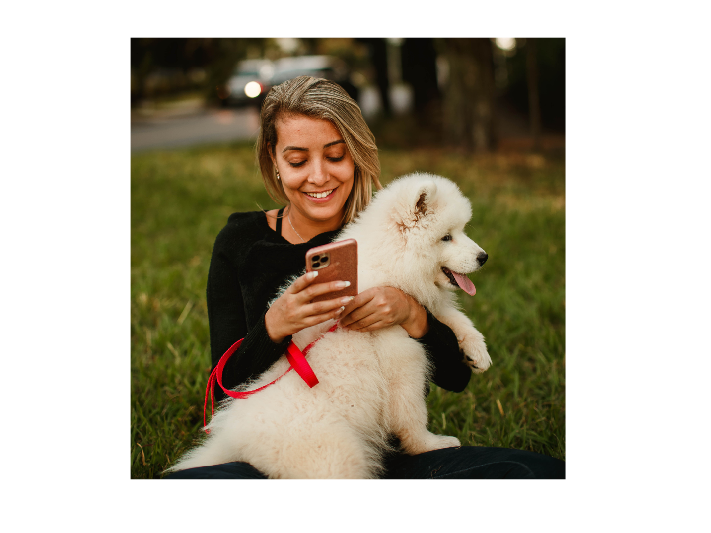 AI-friendly website structure for local businesses